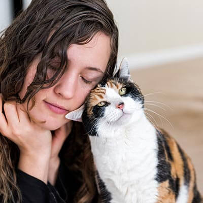 A cat nuzzling their human