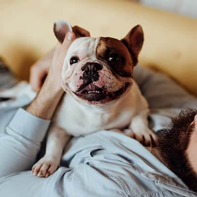 Soft Tissue Surgery Soft Tissue Surgery