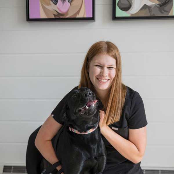 Meet the Team | Jenison Animal Hospital