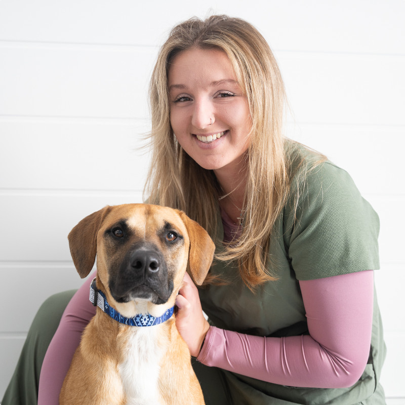 Isabella B., Veterinary Assistant 